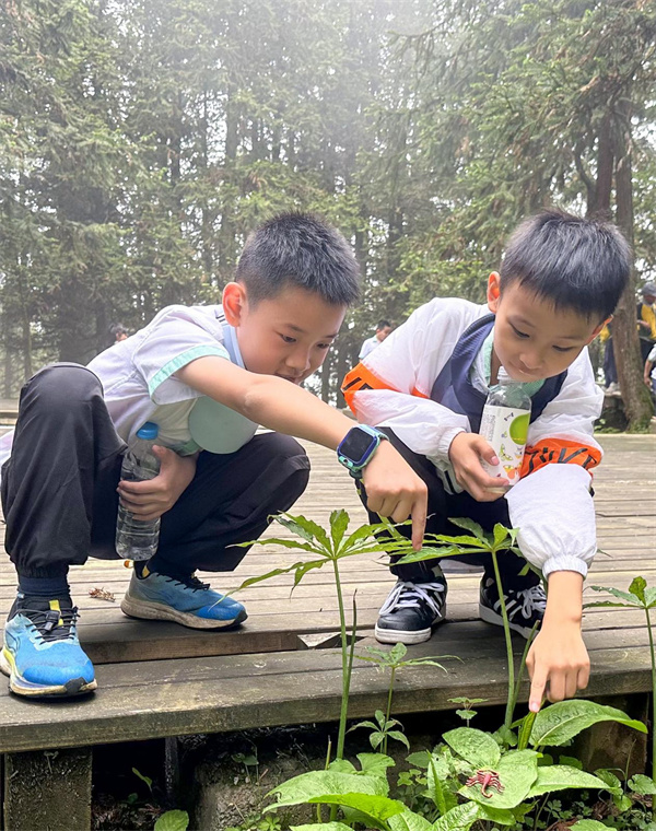 学生认识植物