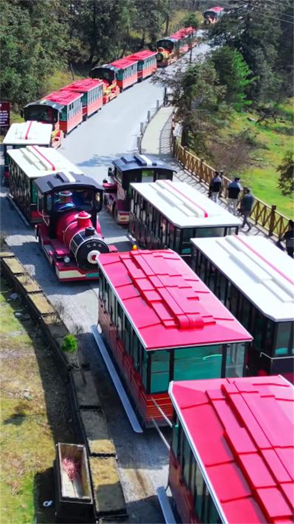 极具欧洲风情的仙女山小火车